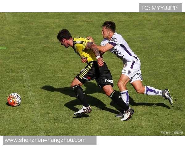 慧灵顿凤凰迎战布里斯班狮吼精彩对决展现足球魅力与激情 慧灵顿凤凰迎战布里斯班狮吼精彩对决展现足球魅力与激情